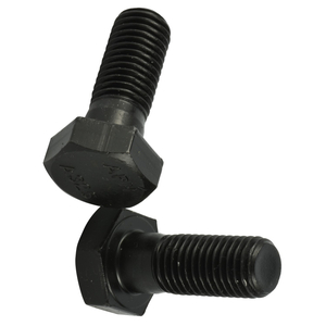 Hex Heavy Bolt A325 with A563 DH Nut